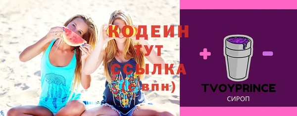 индика Струнино