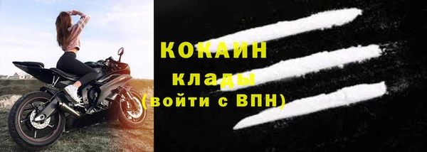 индика Струнино