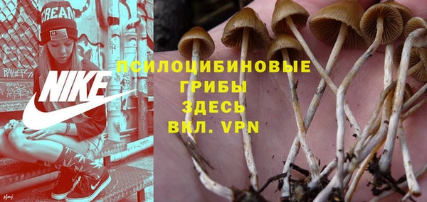 индика Струнино