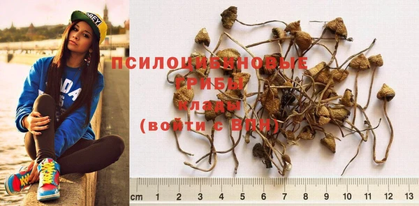 spice Сосновый Бор