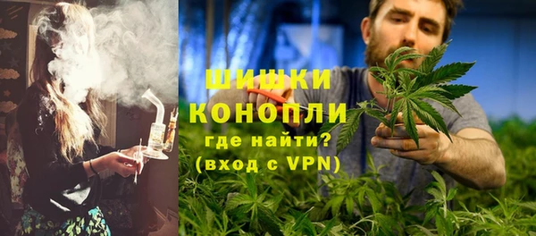 индика Струнино