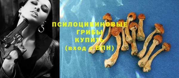 spice Сосновый Бор