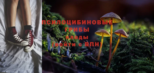 a pvp Строитель