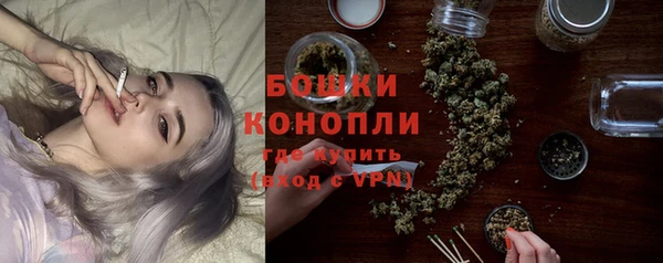 мдпв Мамадыш